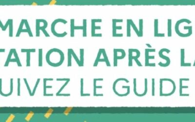 Téléservices affectation après la 3ème