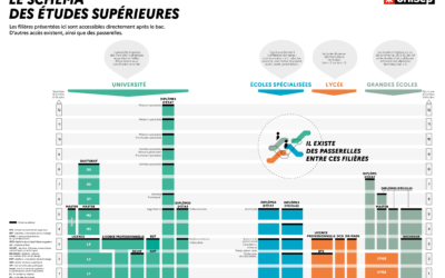 Le schéma des études supérieures